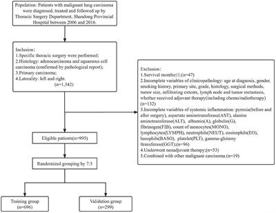 The Prognostic Value of Multiple Systemic Inflammatory Biomarkers in Preoperative Patients With Non-small Cell Lung Cancer